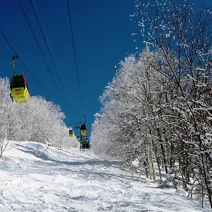 Hoshino Grand 4*, Asahikawa Japan